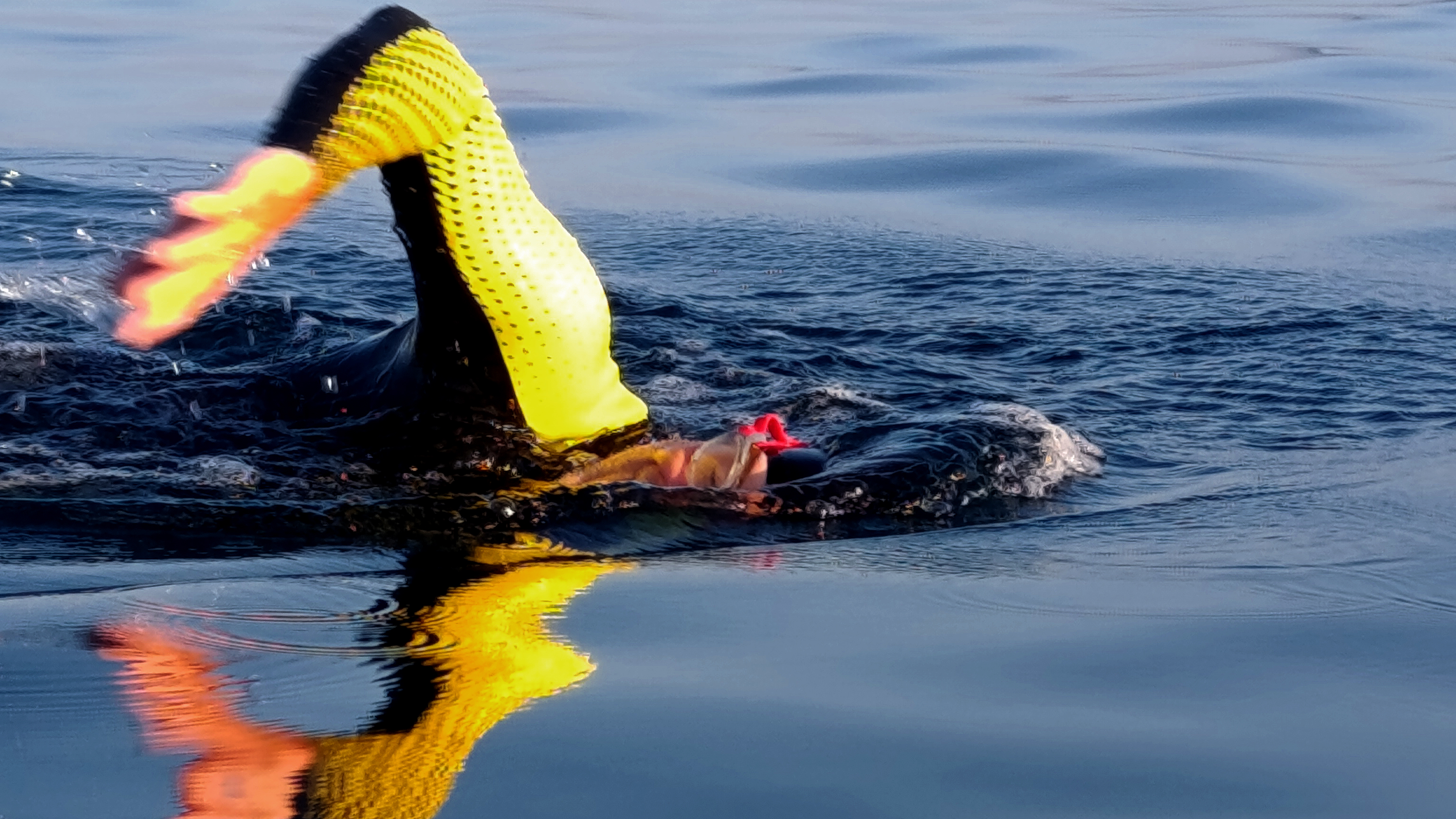 IMG_20240628_060710_02